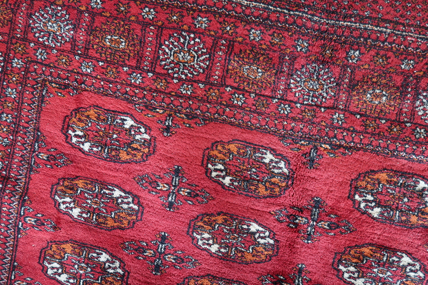 Red, white, and blue Ersari rug
