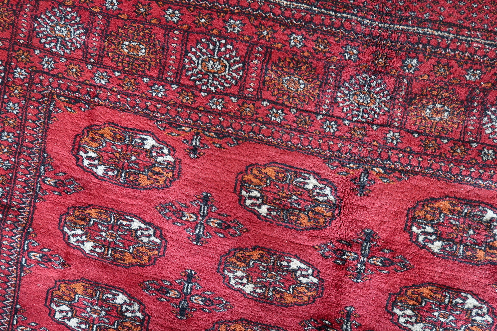 Red, white, and blue Ersari rug
