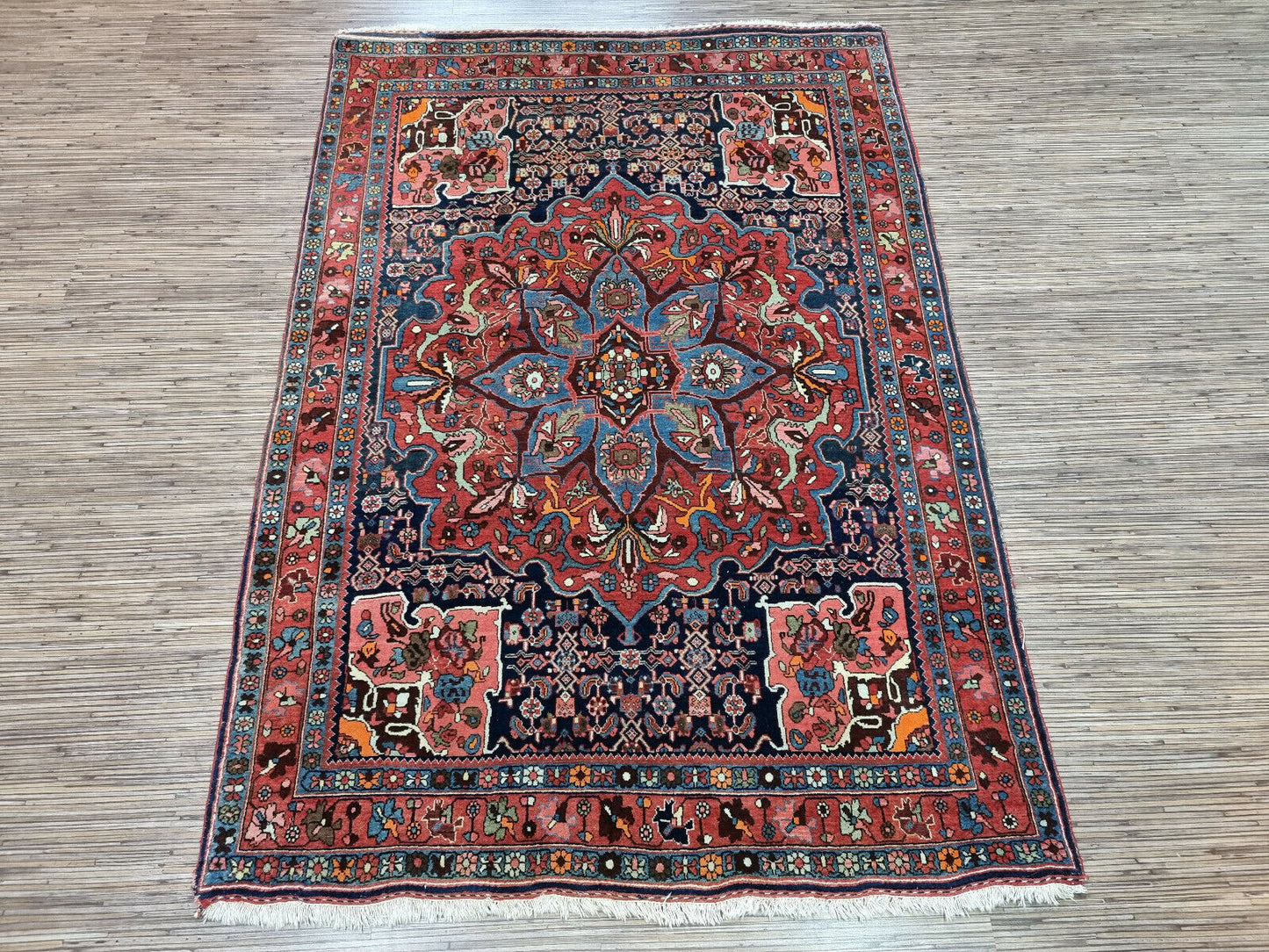 Full view of the Bidjar rug with detailed color contrast
