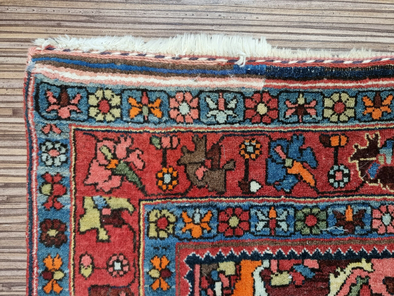 Rich red and blue hues on the Bidjar rug
