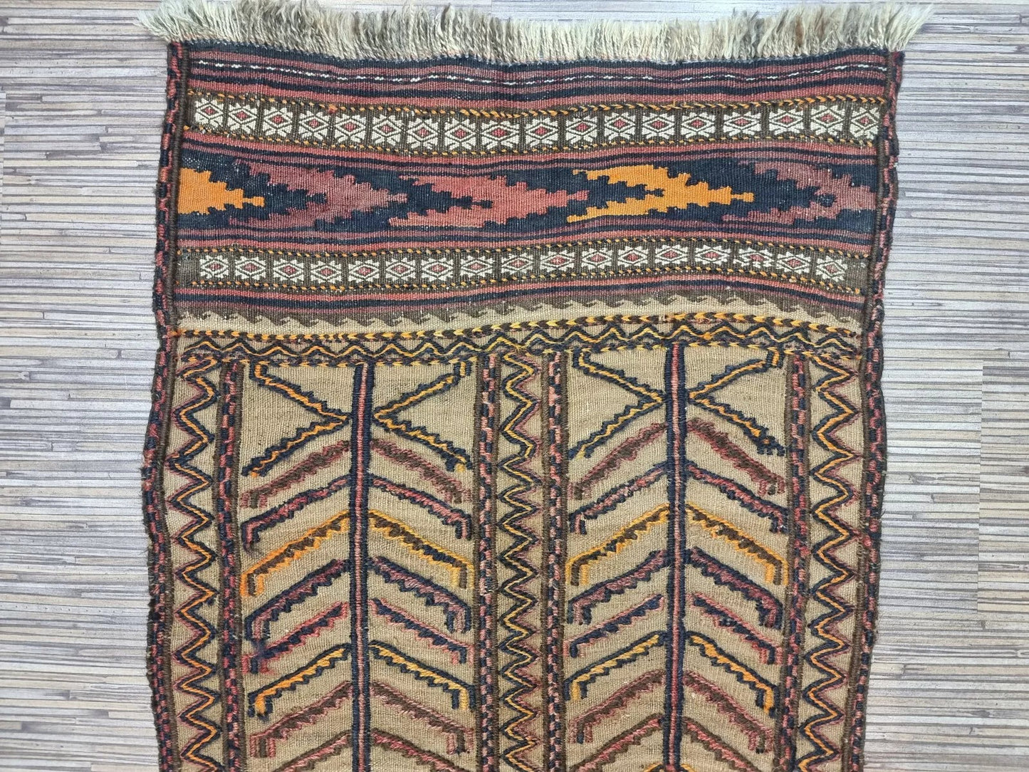 Edge Border of Baluch Rug

