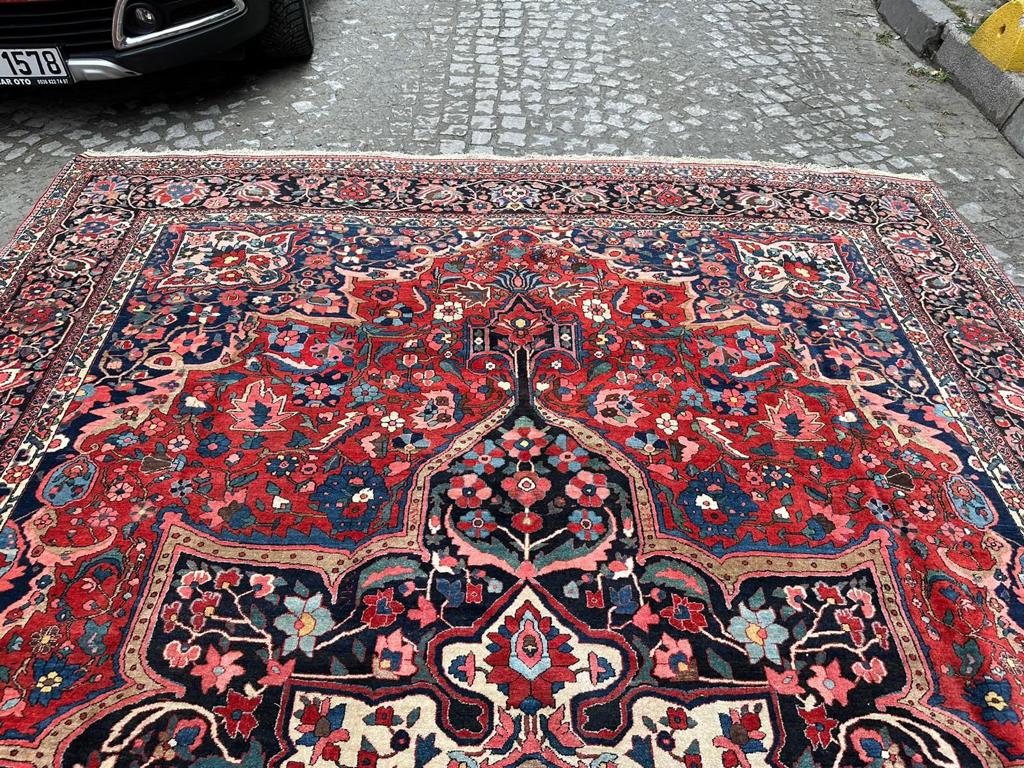 Side angle view of the rug, emphasizing its impressive size and majestic proportions