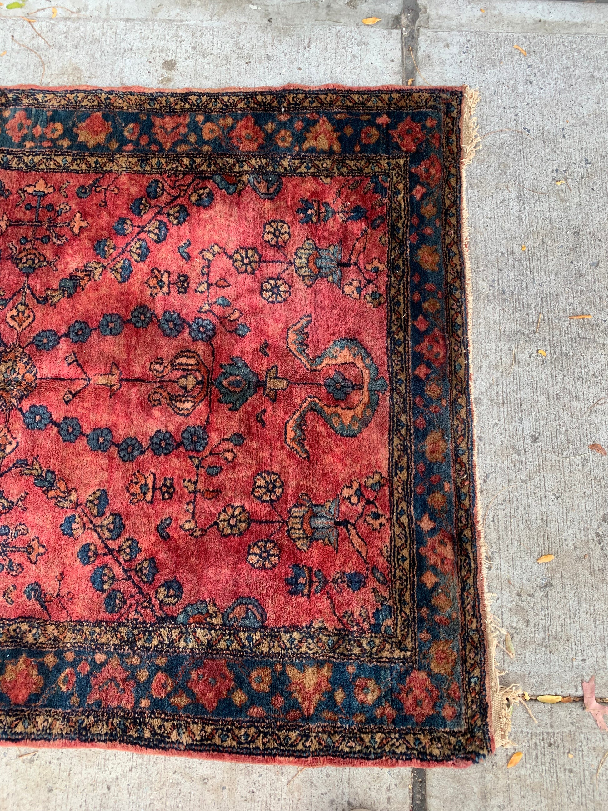 Antique Lilihan rug with navy border and floral accents.
